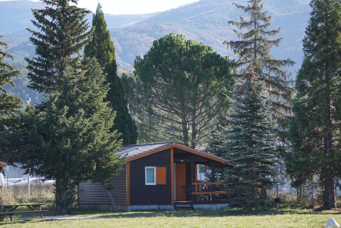 Photo d'un chalet en bois au milieu des pins. 